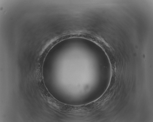 X0000073931256200608181105