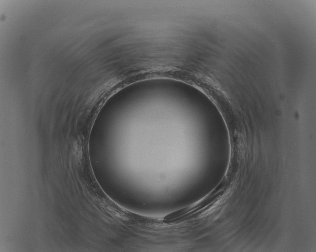 X0000073931257200608181105