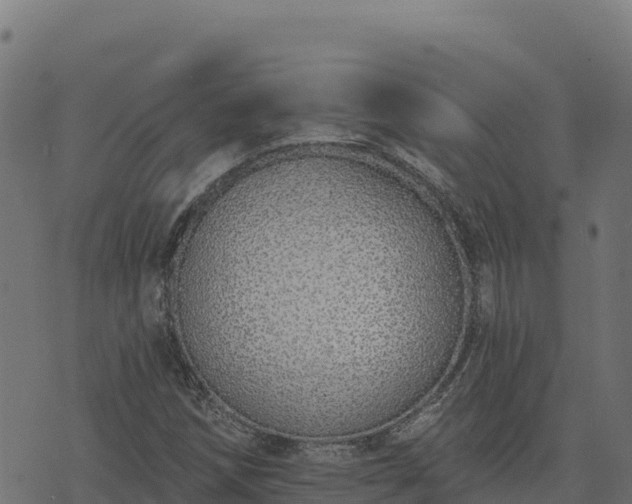 X0000073931258200608181105