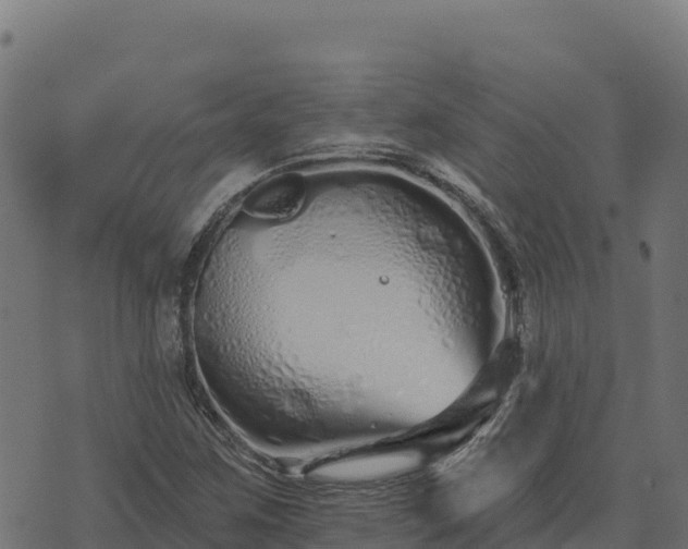 X0000073931259200608181105