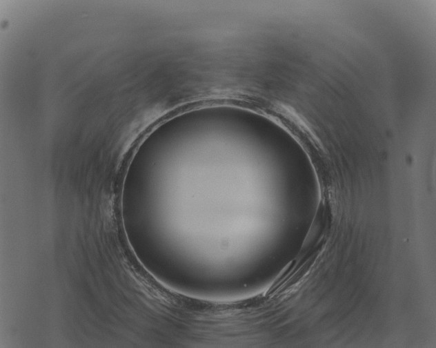 X0000073931260200608181105