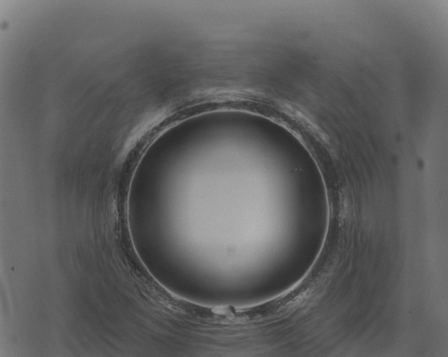 X0000073931261200608181105