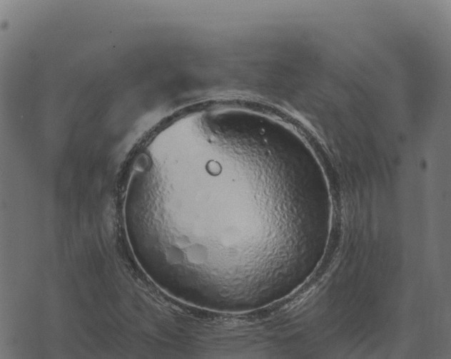 X0000073931263200608181105