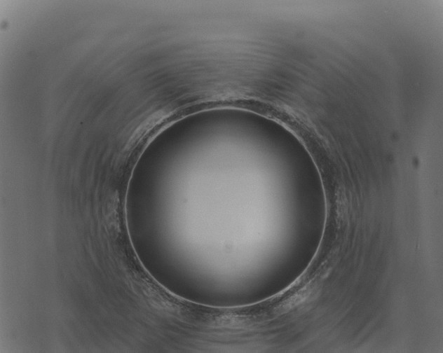 X0000073931265200608181105