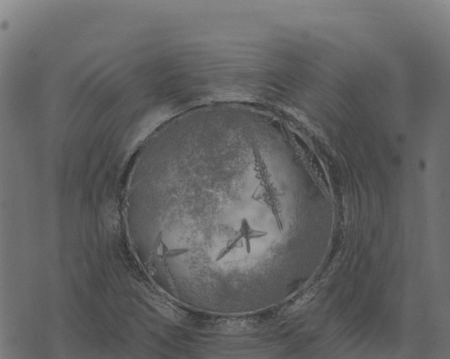 X0000073931266200608181105