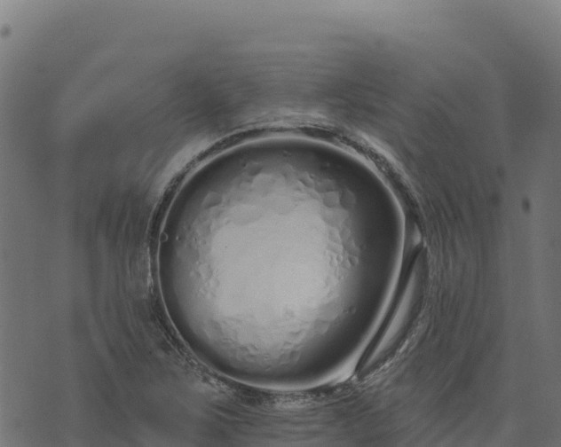 X0000073931267200608181105