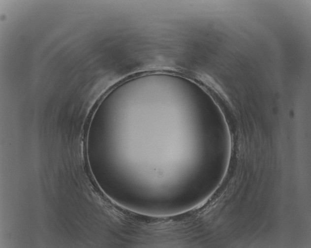 X0000073931268200608181105