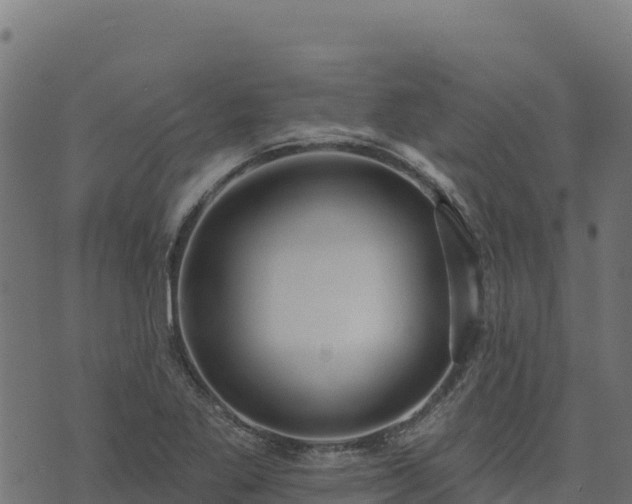 X0000073931269200608181105