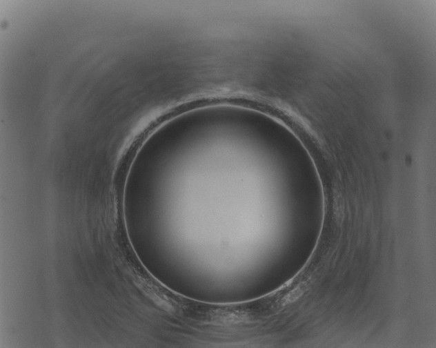 X0000073931270200608181105