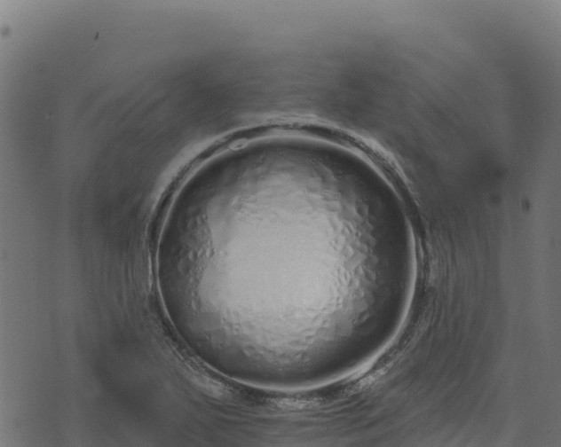 X0000073931271200608181105