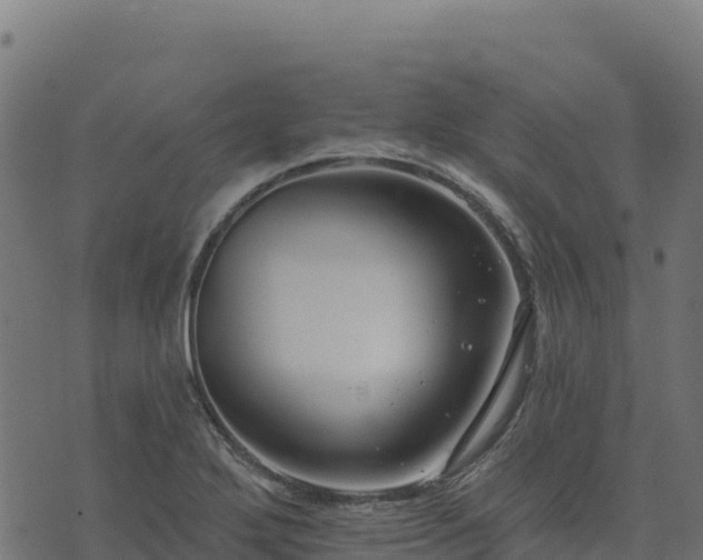 X0000073931272200608181105