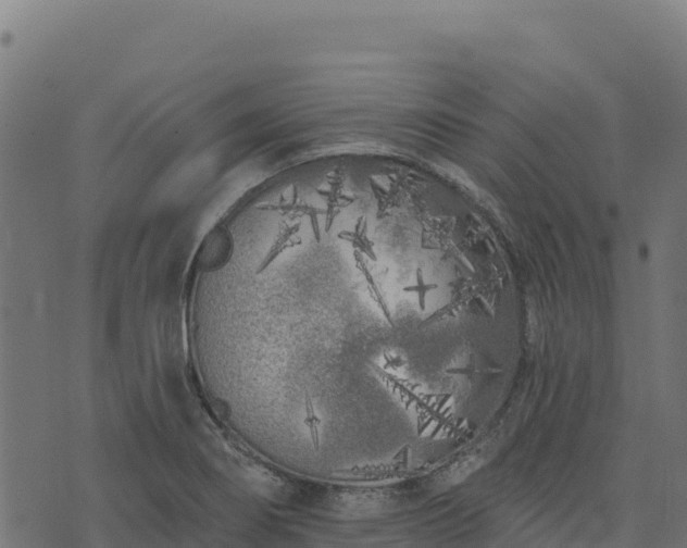 X0000073931274200608181105