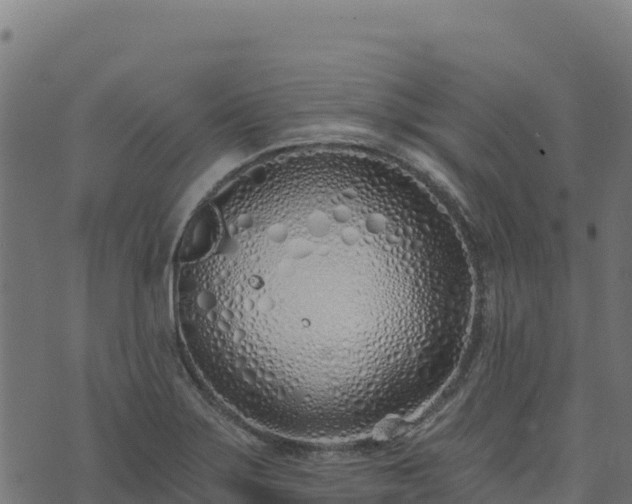 X0000073931275200608181105