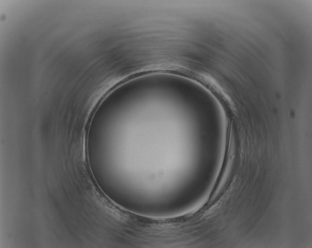 X0000073931276200608181105