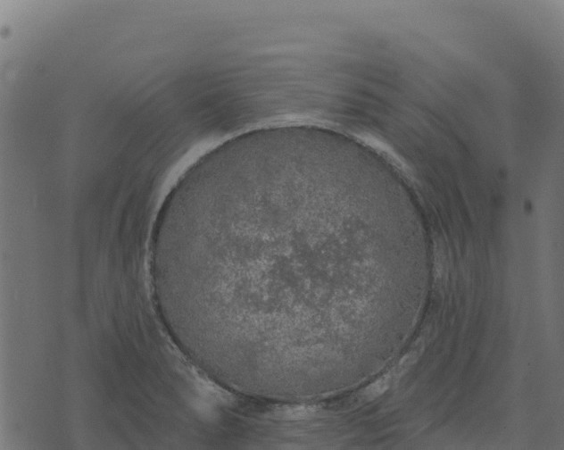 X0000073931278200608181105