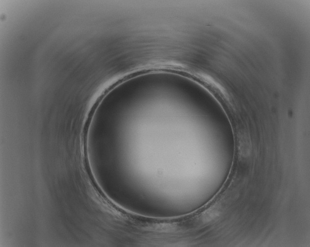 X0000073931280200608181105