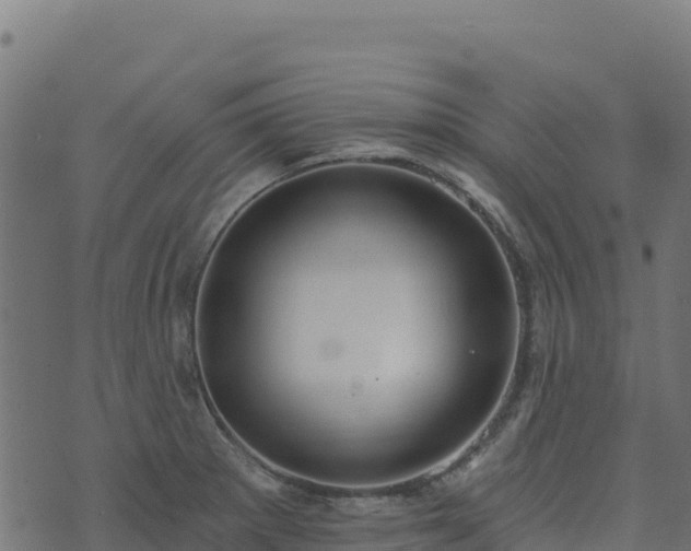 X0000073931281200608181105