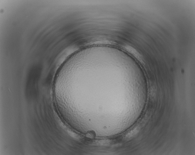 X0000073931282200608181105