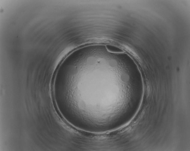 X0000073931283200608181105