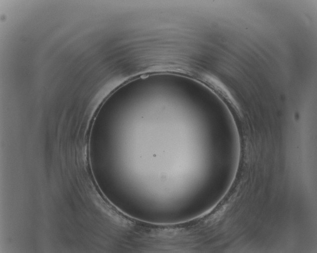 X0000073931284200608181105