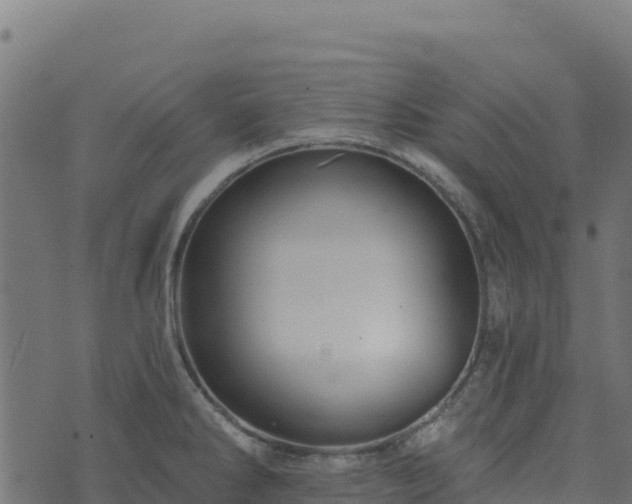 X0000073931286200608181105