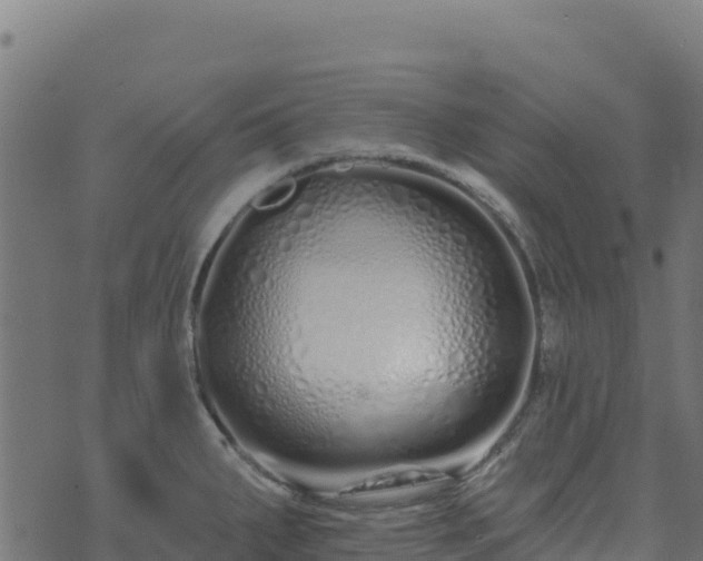 X0000073931287200608181105