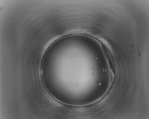 X0000073931288200608181105