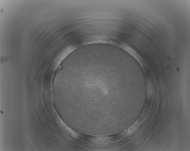 X0000073931290200608181105