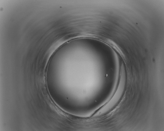 X0000073931292200608181105