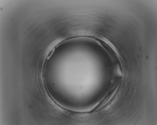 X0000073931293200608181105