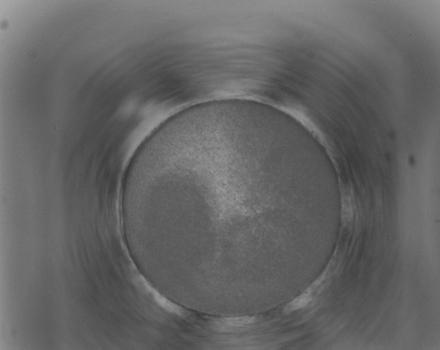 X0000073931294200608181105