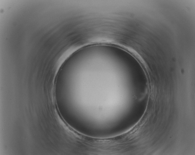 X0000073931295200608181105