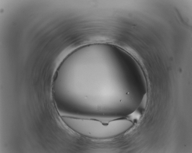 X0000073931296200608181105