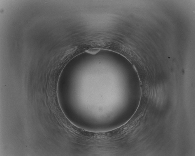 X0000073931297200608181104