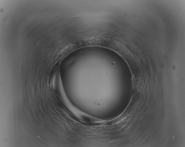 X0000073931298200608181104