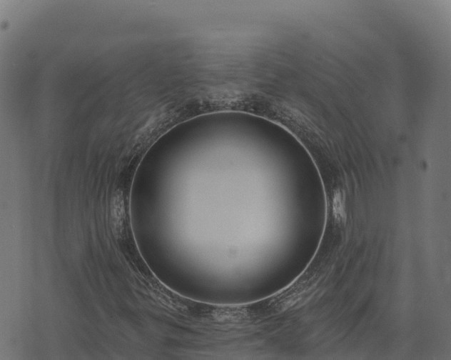 X0000073931299200608181104