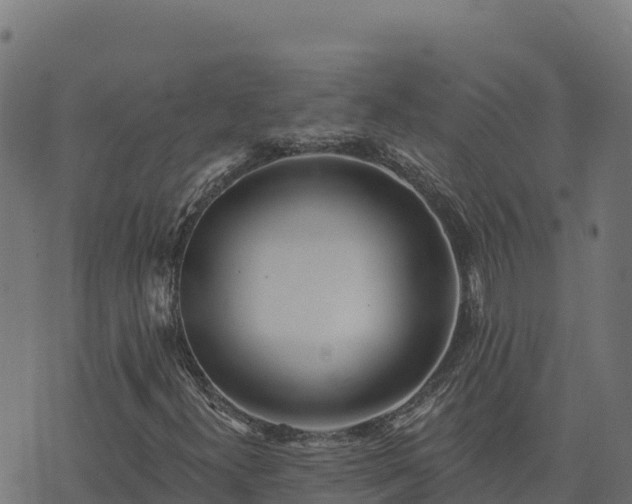 X0000073931300200608181104