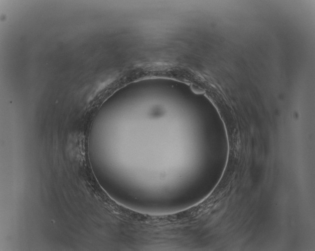 X0000073931301200608181104