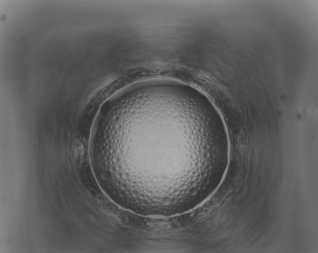 X0000073931302200608181104