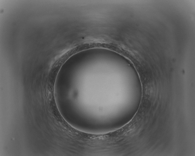 X0000073931303200608181104