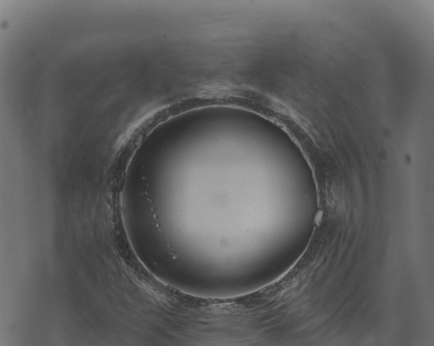 X0000073931304200608181104