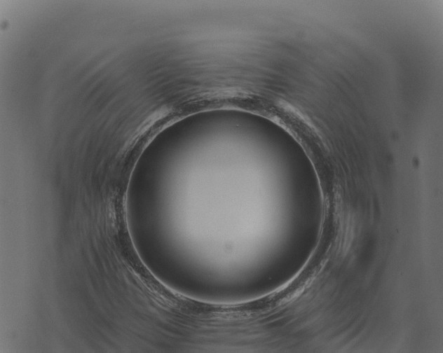 X0000073931305200608181104