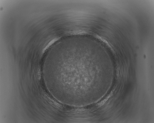 X0000073931306200608181104