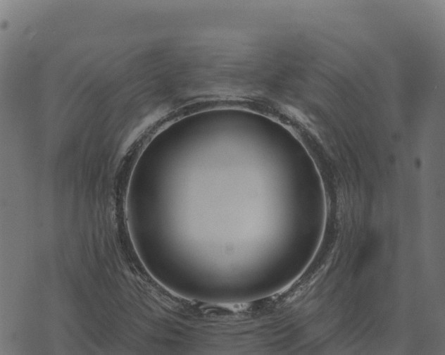 X0000073931307200608181104