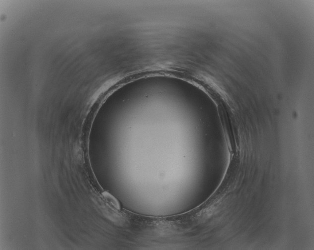 X0000073931308200608181104