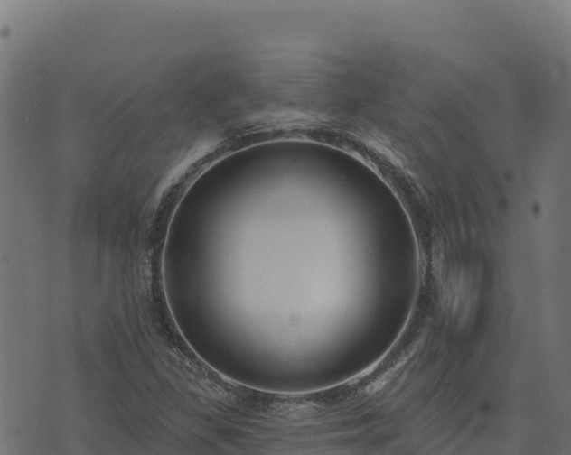 X0000073931309200608181104