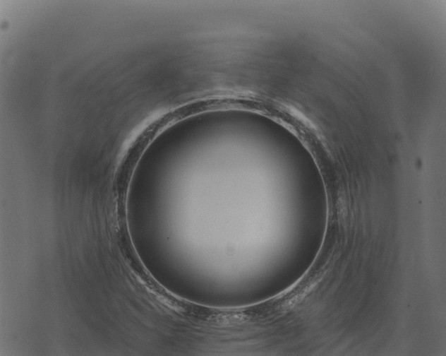 X0000073931310200608181104