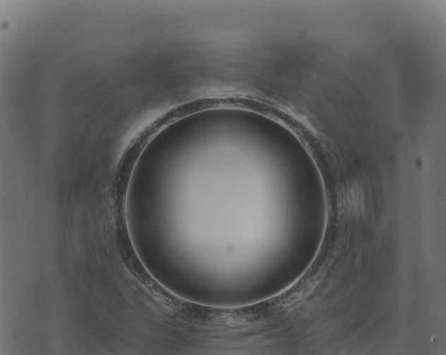 X0000073931311200608181104