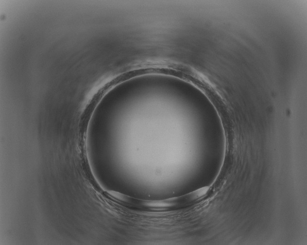 X0000073931312200608181104