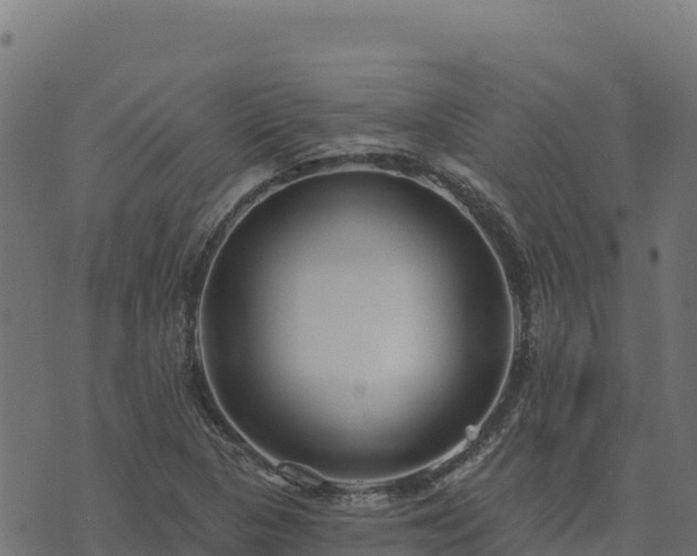 X0000073931313200608181104